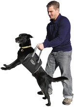 Load image into Gallery viewer, PupBoost Lift Harness
