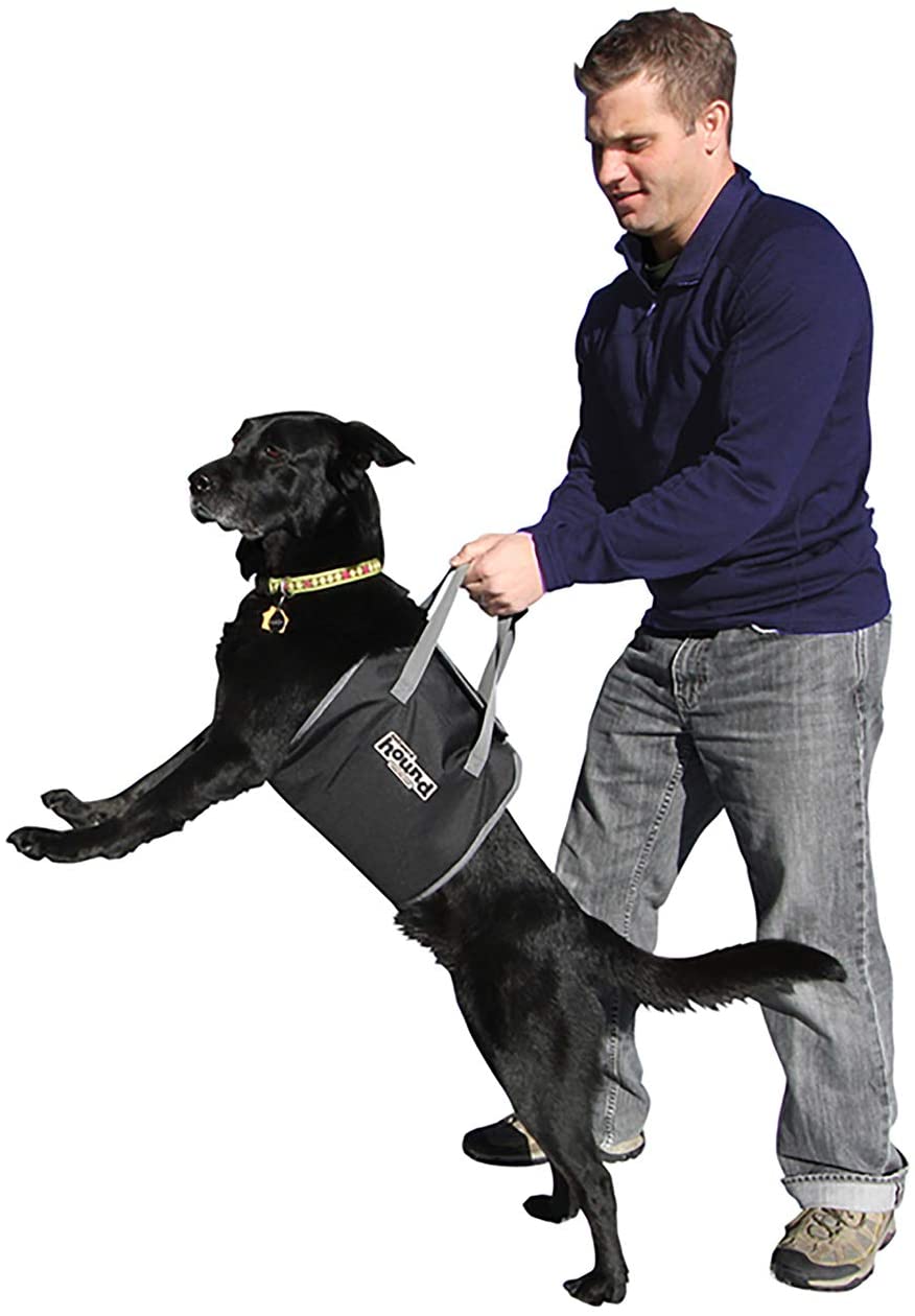 PupBoost Lift Harness