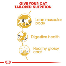 Load image into Gallery viewer, ROYAL CANIN® Siamese &amp; Oriental Adult Cat Food - 2kg or 4kg

