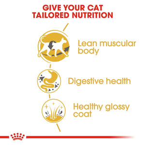 ROYAL CANIN® Siamese & Oriental Adult Cat Food - 2kg or 4kg