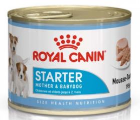 ROYAL CANIN Mini Starter Mother & Babydog Can Mousse - 12x195g