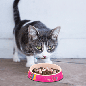 ROGZ Fishcake "Whisker Friendly" Design Food Bowl for Cats and Kittens