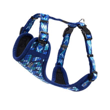 Load image into Gallery viewer, ROGZ Comfy Harness, Collar, Lead - for X-Small, Small &amp; Medium Dogs
