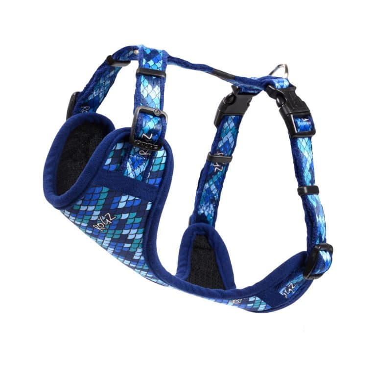 ROGZ Wild Safari Amphibian Blue Comfy Harness, Collar and Leash