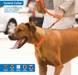 Rogz half 2025 check collar