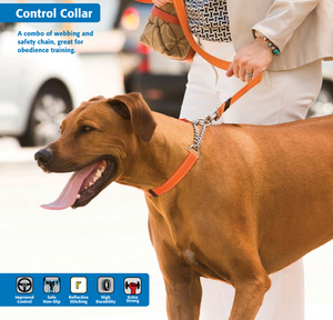 ROGZ Half-Check Control Training Dog Collar