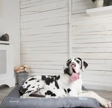 Load image into Gallery viewer, Scruffs Self-Cooling Dog Bed
