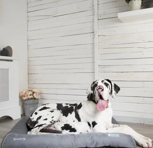 Scruffs Self-Cooling Dog Bed