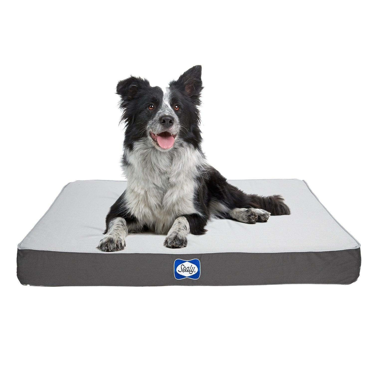 Sealy dog bed cover discount