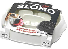 Load image into Gallery viewer, Slomo Slow Feeding Dog Bowl
