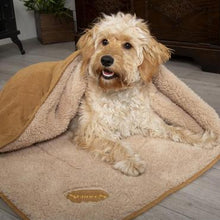 Load image into Gallery viewer, SCRUFFS Snuggle Pet Blanket 100cm x 75cm
