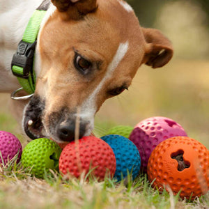 ROGZ Gumz Ball Treat Dog Toy - Small, Medium & Large