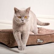 Load image into Gallery viewer, SCRUFFS Tramps Thermal Lounger for a Cat or Very Small Dog
