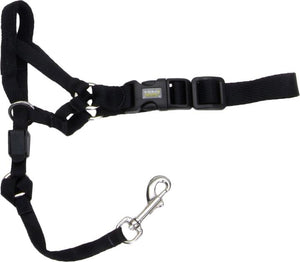 Rosewood Walk 'n Train Head Halter - Small, Medium or Large