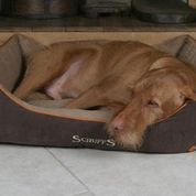 Load image into Gallery viewer, SCRUFFS Thermal Box Bed for Dogs
