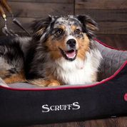 Load image into Gallery viewer, SCRUFFS Thermal Box Bed for Dogs
