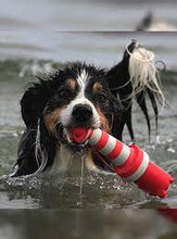 Load image into Gallery viewer, Rogz Lighthouse Dog Fetch Toy for Water Loving Dogs, Large 24cm
