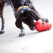 KONG Wobbler Treat Toy (Small & Large)