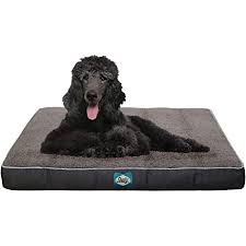 SEALY Cushy Comfort Dog Bed
