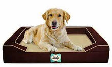 Load image into Gallery viewer, SEALY Lux Orthopedic Dog Bed
