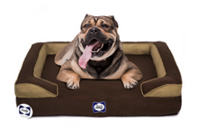 Load image into Gallery viewer, SEALY Cushy Embrace Dog Bed
