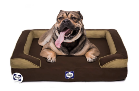 SEALY Cushy Embrace Dog Bed Bizzibabs Scratch Patch