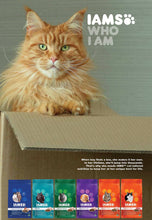 Load image into Gallery viewer, IAMS ADULT MULTICAT with SALMON Cat Food
