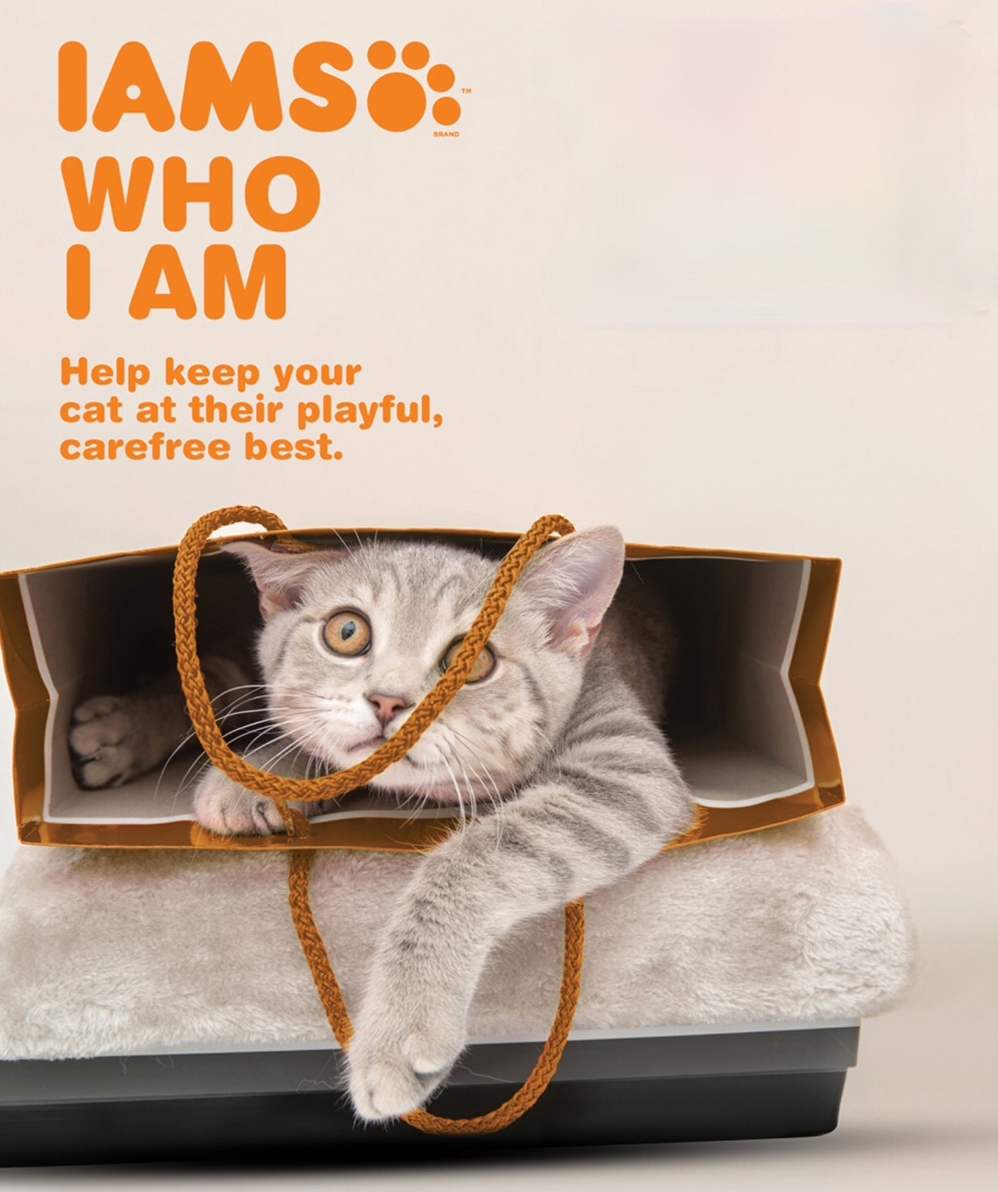 I am an iams cat hotsell