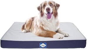SEALY Defender Water Resistant Dog Bed