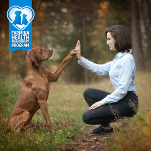 FARMINA N&D PUMPKIN GRAIN-FREE: Adult Dog Food for All Breeds Boar, Pumpkin & Apple